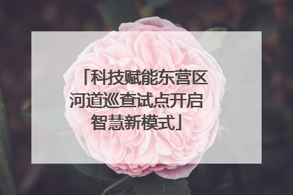 科技赋能东营区河道巡查试点开启智慧新模式